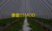 拳皇15MOD